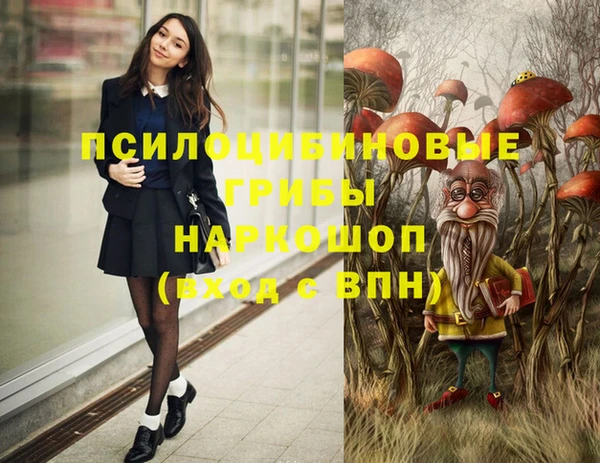 дурь Балахна