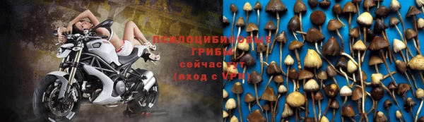 дурь Балахна